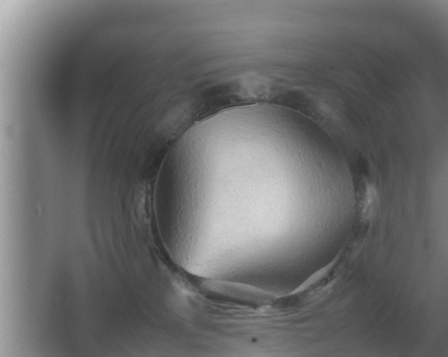 X0000064040233200602031605