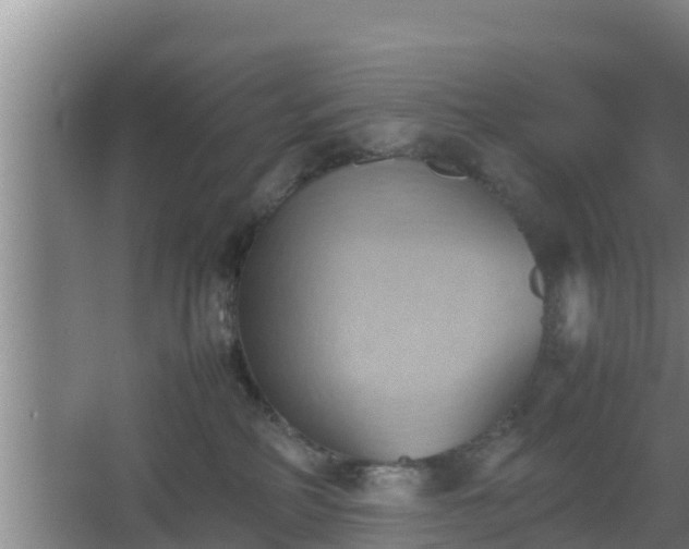 X0000064040234200602031605