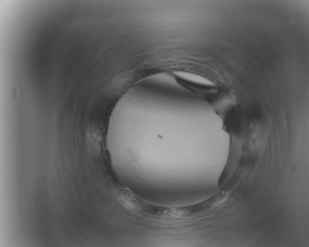 X0000064040235200602031605