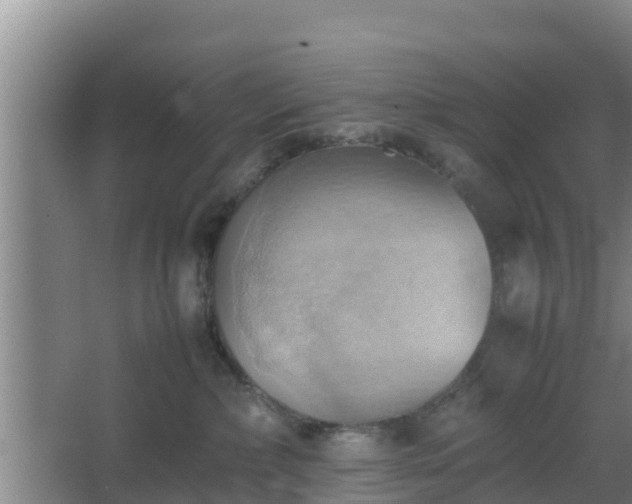 X0000064040236200602031605