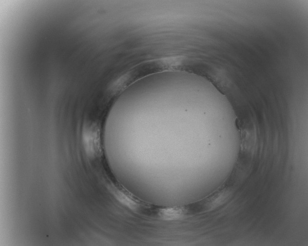 X0000064040238200602031605