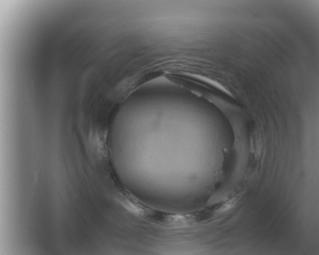 X0000064040239200602031605