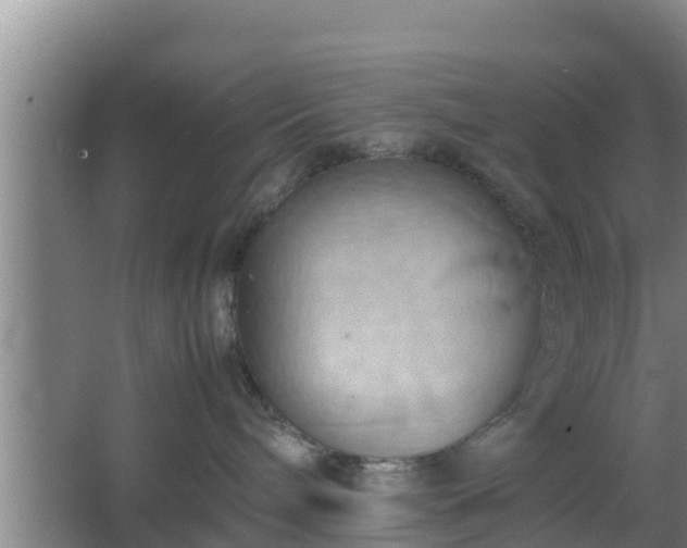 X0000064040240200602031605