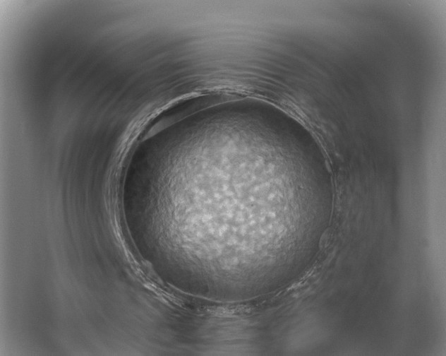 X0000064040241200602031605