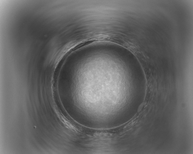 X0000064040242200602031605