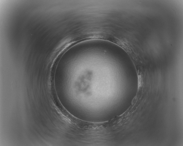 X0000064040243200602031605