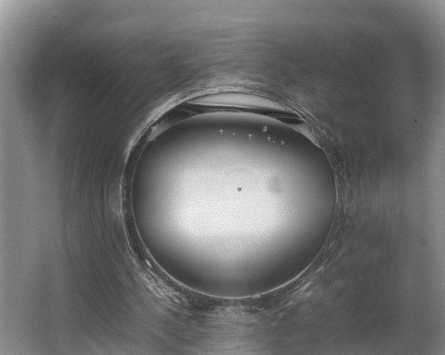 X0000064040244200602031605