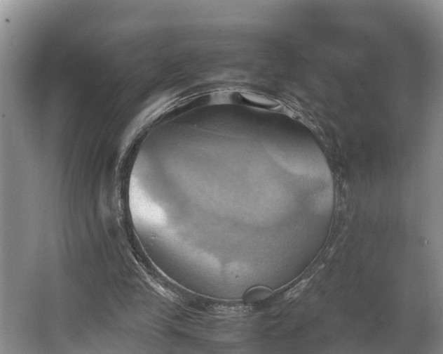 X0000064040245200602031605