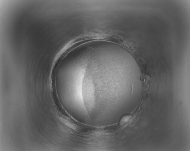 X0000064040246200602031605