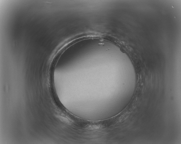 X0000064040247200602031605