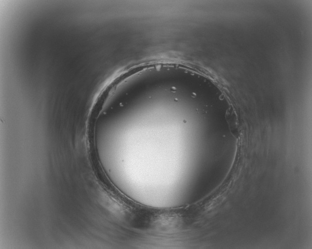 X0000064040248200602031605