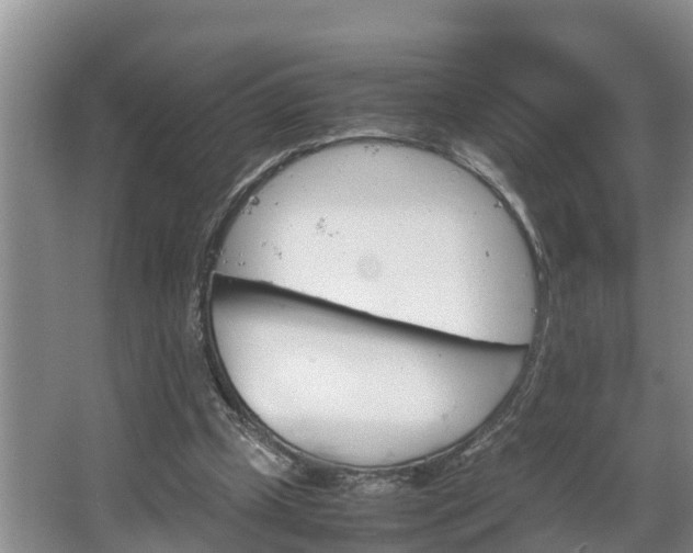 X0000064040249200602031605