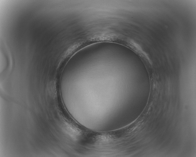 X0000064040250200602031605