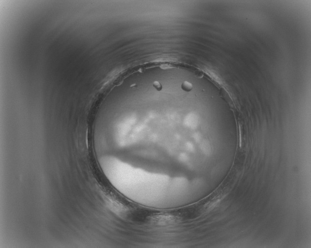 X0000064040253200602031605