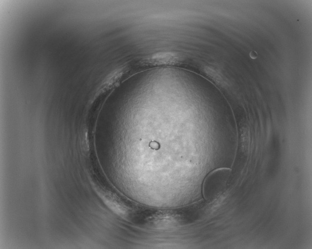 X0000064040254200602031605