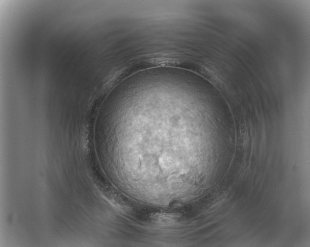 X0000064040255200602031605