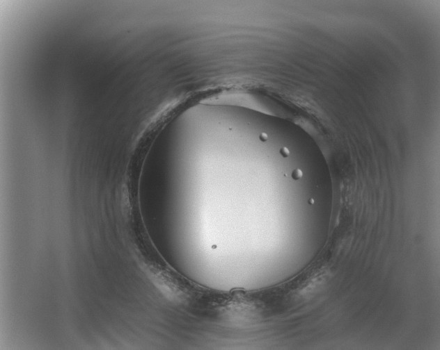 X0000064040256200602031605