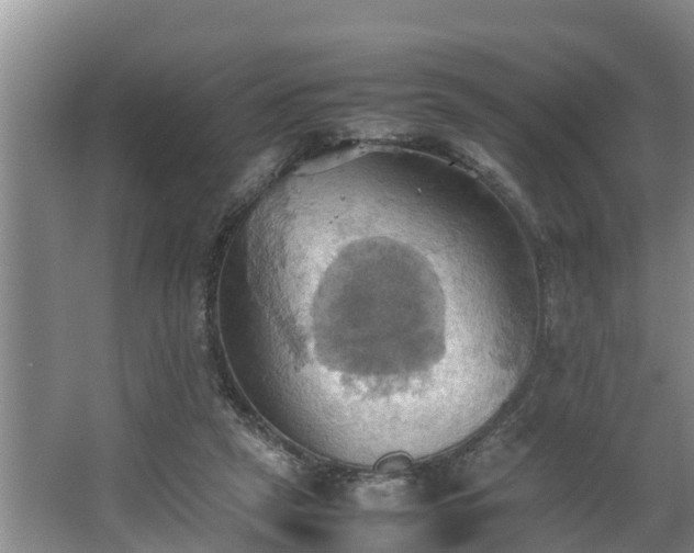 X0000064040257200602031605