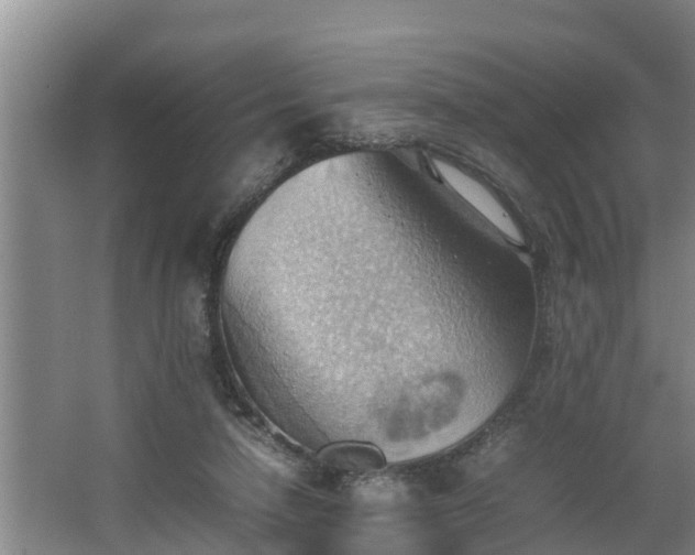 X0000064040258200602031605