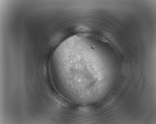 X0000064040259200602031605