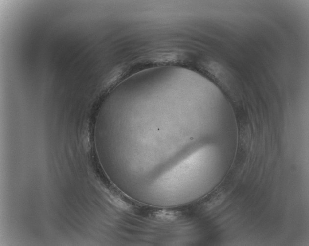 X0000064040261200602031605