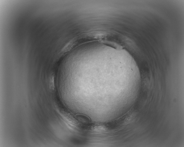 X0000064040262200602031605