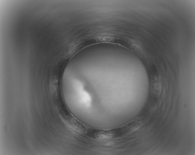 X0000064040263200602031605