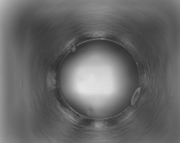 X0000064040264200602031605