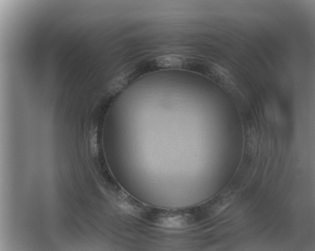 X0000064040267200602031605