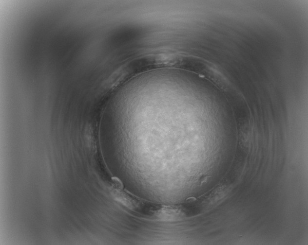 X0000064040270200602031605