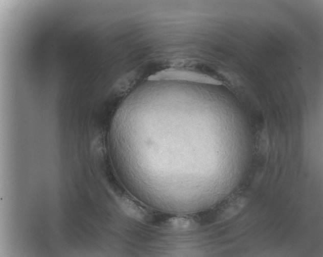 X0000064040272200602031605