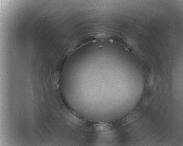 X0000064040273200602031605