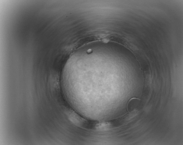 X0000064040274200602031605