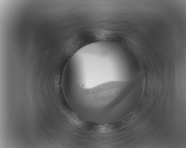 X0000064040275200602031605