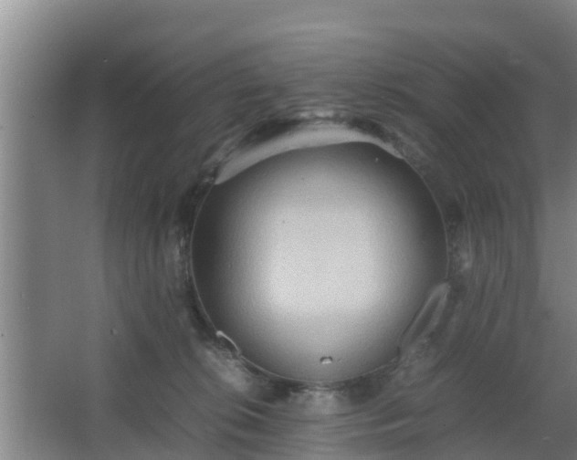 X0000064040276200602031605