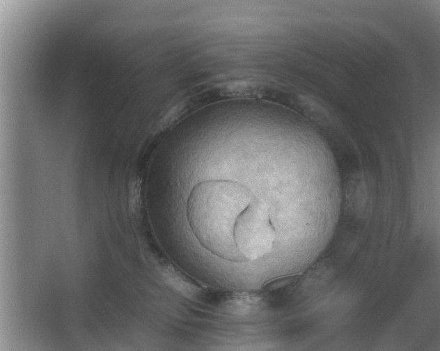 X0000064040278200602031605