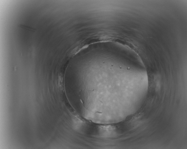 X0000064040281200602031605