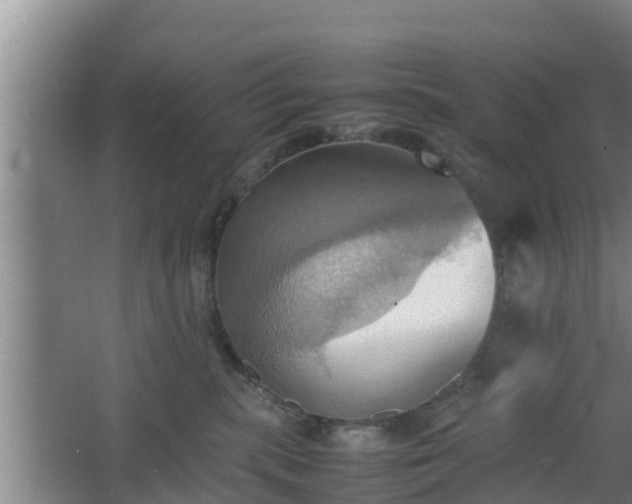 X0000064040283200602031605