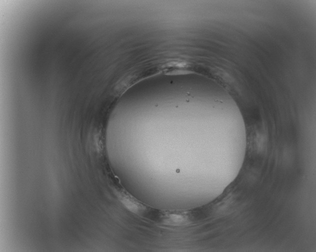 X0000064040285200602031605