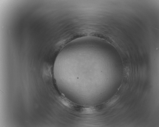 X0000064040286200602031605