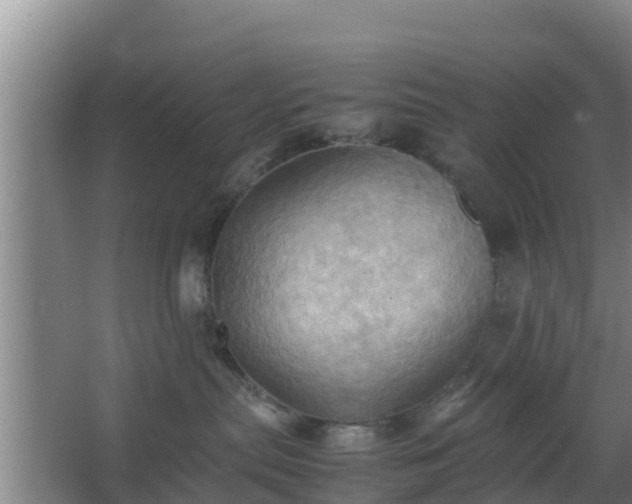 X0000064040287200602031605