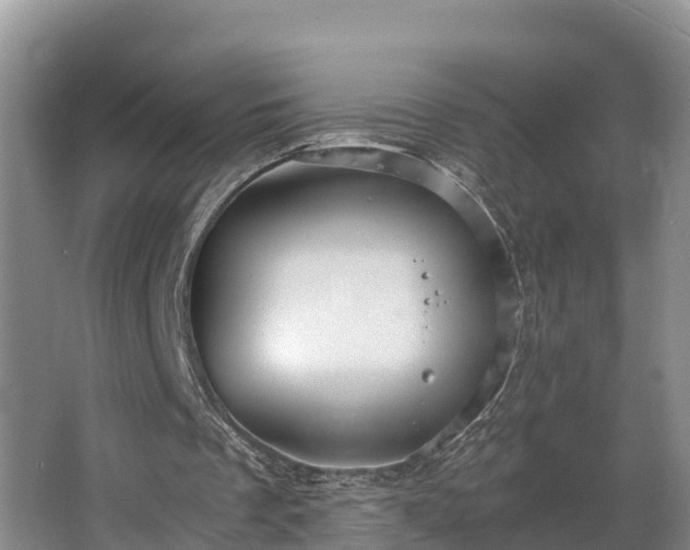 X0000064040289200602031605