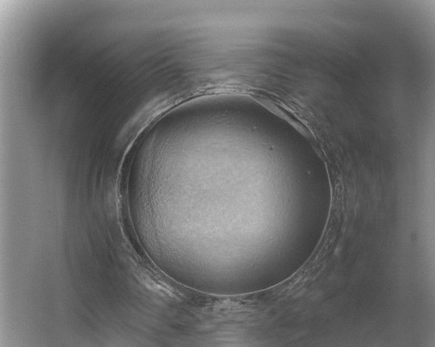 X0000064040290200602031605