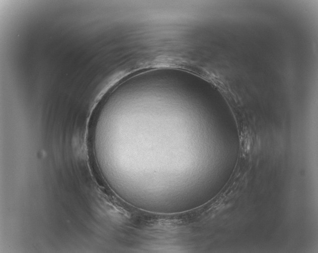 X0000064040292200602031605