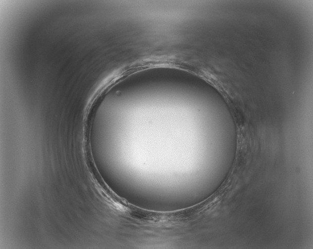 X0000064040293200602031604