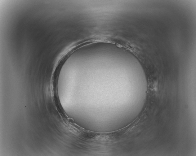 X0000064040294200602031604