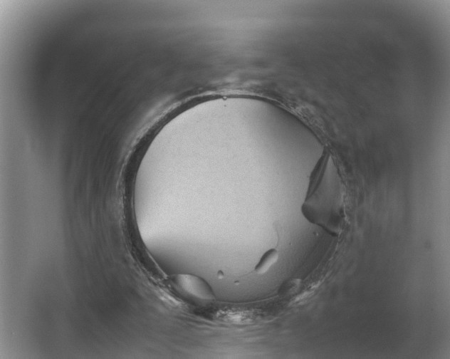 X0000064040295200602031604