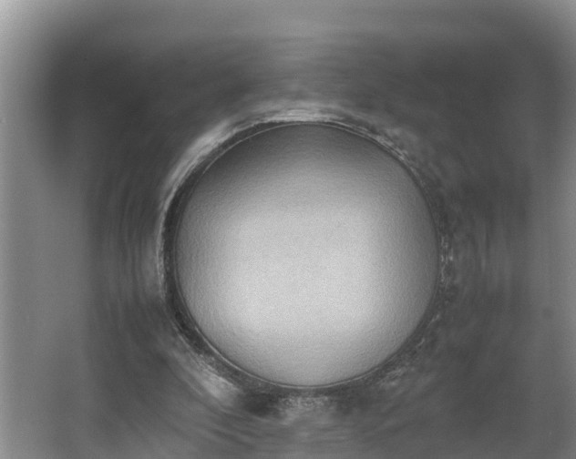 X0000064040296200602031604