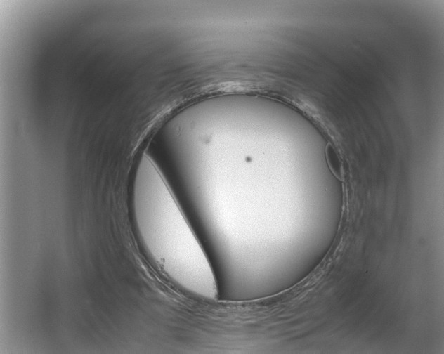 X0000064040297200602031604