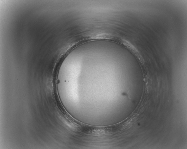 X0000064040298200602031604